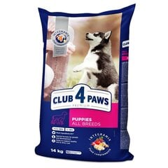 Club 4 Paws Premium kuivtoit kutsikatele - Kõikidele tõugudele цена и информация | Сухой корм для собак | hansapost.ee