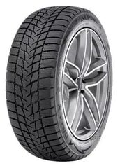 Radar DIMAX ALPINE 225/45R18 95 V XL цена и информация | Зимняя резина | hansapost.ee