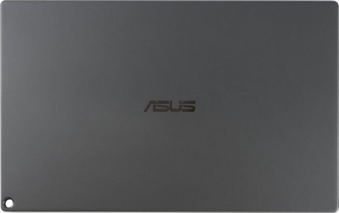 15.6 Full HD IPS portatiivne monitor Asus Portable USB monitor MB16ACE цена и информация | Monitorid | hansapost.ee