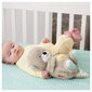 Kaisulapp Saarmas Fisher Price, FXC66 hind ja info | Beebide mänguasjad | hansapost.ee