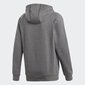 Meeste dressipluus Adidas Core18 Hoody M CV3327, hall цена и информация | Pusad meestele | hansapost.ee