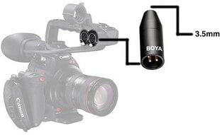 Boya adapter 3,5mm TRS - XLR BY-35C-XLR цена и информация | Аксессуары для фотоаппаратов | hansapost.ee