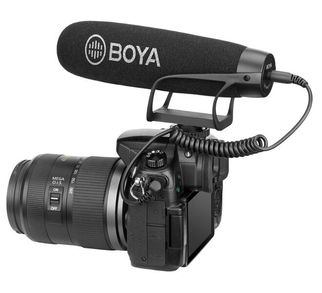 Boya BY-BM2021 hind ja info | Lisatarvikud videokaameratele | hansapost.ee