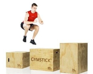 Puitplatvorm Gymstick Plyobox, 3-osaline hind ja info | Stepipingid | hansapost.ee