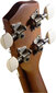 Sopran ukulele + ümbris Stagg US-NAT hind ja info | Kitarrid | hansapost.ee
