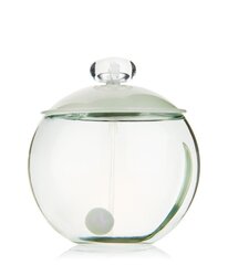 Женская парфюмерия Noa Cacharel EDT (100 ml) цена и информация | Духи для Нее | hansapost.ee