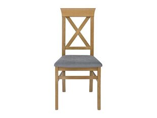 2 tooli komplekt BRW Bergen, pruun/hall цена и информация | Стулья для кухни и столовой | hansapost.ee