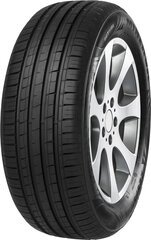 Minerva F209 205/50R16 91 W XL цена и информация | Летняя резина | hansapost.ee