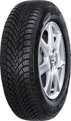 Nexen WinGuard Snow'G 3 WH21 205/60R15 91 H hind ja info | Talverehvid | hansapost.ee