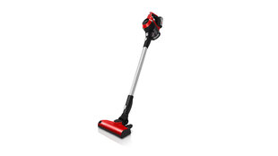 Bosch Serie 6 Unlimited ProAnimal BBS61PET2 hind ja info | Varstolmuimejad | hansapost.ee