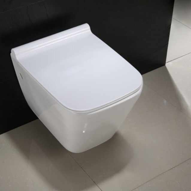 WC-pott REA Ryan Rimless Slim tüüpi aeglaselt sulguva kaanega цена и информация | WС-potid | hansapost.ee