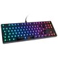 Glorious PC Gaming Race GMMK TKLs hind ja info | Klaviatuurid | hansapost.ee