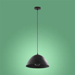 TK Lighting подвесной светильник Faro 3194 цена и информация | Люстры | hansapost.ee