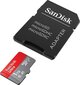 MicroSDXC mälukaart 1000GB SanDisk Ultra : SDSQUA4-1T00-GN6MA hind ja info | Fotoaparaatide mälukaardid | hansapost.ee