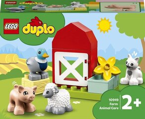 10949 LEGO® DUPLO Town для ухода за животными цена и информация | Конструкторы и кубики | hansapost.ee