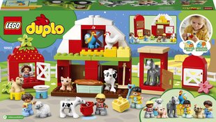 10952 LEGO® DUPLO Ait цена и информация | Конструкторы и кубики | hansapost.ee