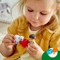 10952 LEGO® DUPLO Ait hind ja info | Klotsid ja konstruktorid | hansapost.ee