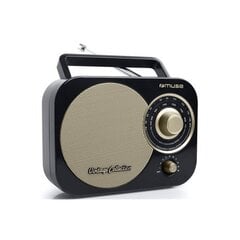 Muse Portable radio M-055RB Black цена и информация | Радиоприемники и будильники | hansapost.ee