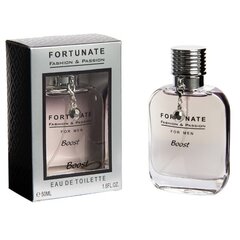 Fortunate Boost For Men EDT meestele 50 ml hind ja info | Pole täpsustatud Parfüümid, lõhnad ja kosmeetika | hansapost.ee