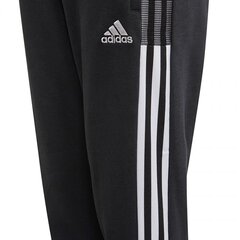 Spordipüksid lastele Adidas Tiro21 Sweat Jr GM7332 77808 hind ja info | Adidas Riided, jalanõud lastele ja beebidele | hansapost.ee