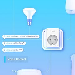 TP-LINK TAPO P100 MINI SMART WIFI SOCKET 4P hind ja info | Tapo Mobiiltelefonid, fotokaamerad, nutiseadmed | hansapost.ee