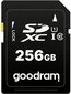 GoodRam S1A0-2560R12 цена и информация | Fotoaparaatide mälukaardid | hansapost.ee