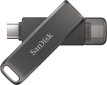 Sandisk iXpand 256GB USB 3.0 цена и информация | Mälupulgad | hansapost.ee