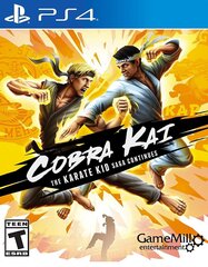 PlayStation 4 Mäng Cobra Kai: The Karate Saga Continues цена и информация | Компьютерные игры | hansapost.ee