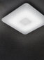 LED-plafoon Samurai, valge hind ja info | Laelambid | hansapost.ee