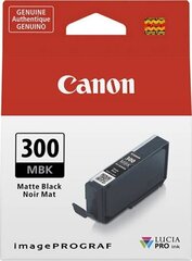 Canon 4192C001, черный цена и информация | Картриджи для струйных принтеров | hansapost.ee