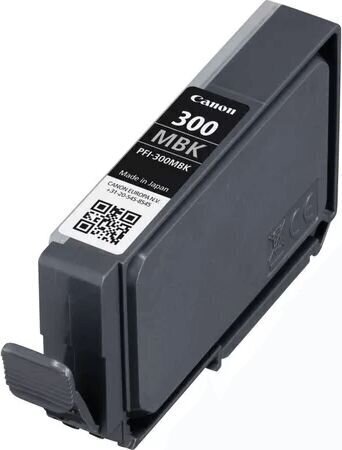 Canon 4192C001, must цена и информация | Tindiprinteri kassetid | hansapost.ee