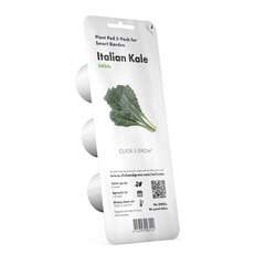 Click & Grow Smart Refill Тосканская капуста кале 3 шт. цена и информация | Проращиватели, лампы для растений | hansapost.ee