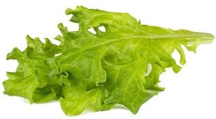 Click & Grow Smart Refill Tammelehe salat 3tk hind ja info | Click & Grow Kodumasinad | hansapost.ee
