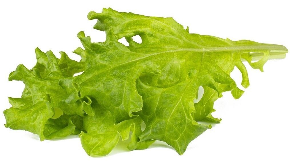 Click & Grow Smart Refill Tammelehe salat 3tk hind ja info | Nutipotid ja taimelambid | hansapost.ee