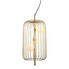 Italux Hayden MDM-3934/3 GD price and information | Pendant lights | hansapost.ee