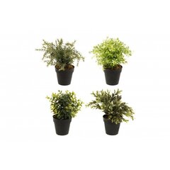 4Living искусственное растение, 1 шт цена и информация | Детали интерьера | hansapost.ee
