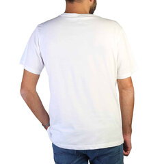 Футболка мужская Carrera Jeans 801P_0047A_002, белая цена и информация | Мужские футболки | hansapost.ee
