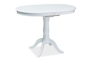 Laud Dello, 70x100 cm, valge hind ja info | Köögilauad, söögilauad | hansapost.ee