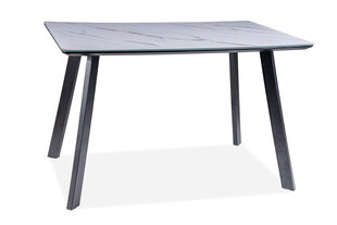 Стол обеденный Signal Meble Samuel 120 см, белый/черный цена и информация | Кухонные и обеденные столы | hansapost.ee