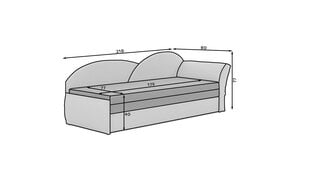 Диван - кровать Aga, серый цена и информация | Диваны | hansapost.ee