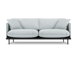 Трехместный диван Interieurs 86 Auguste, светло-серый цена и информация | Диваны | hansapost.ee