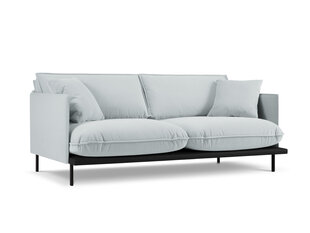 Трехместный диван Interieurs 86 Auguste, светло-серый цена и информация | Диваны | hansapost.ee