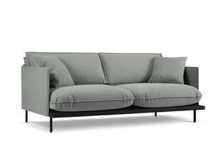 Трехместный диван Interieurs 86 Auguste, серый цена и информация | Диваны | hansapost.ee