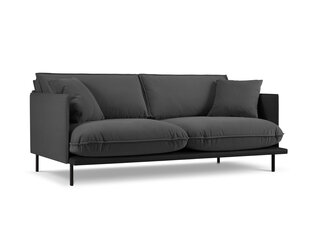 Трехместный диван Interieurs 86 Auguste, темно-серый цена и информация | Диваны | hansapost.ee