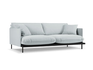 Четырехместный диван Interieurs 86 Auguste, светло-серый цена и информация | Диваны | hansapost.ee