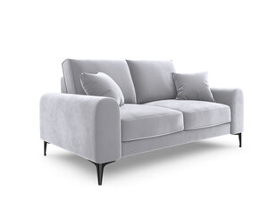 Двухместный диван Mazzini Sofas Madara, велюр, серебренного цвета/черный цена и информация | Диваны | hansapost.ee