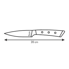 Tescoma nuga Azza, 9 cm hind ja info | Kööginoad ja teritajad | hansapost.ee