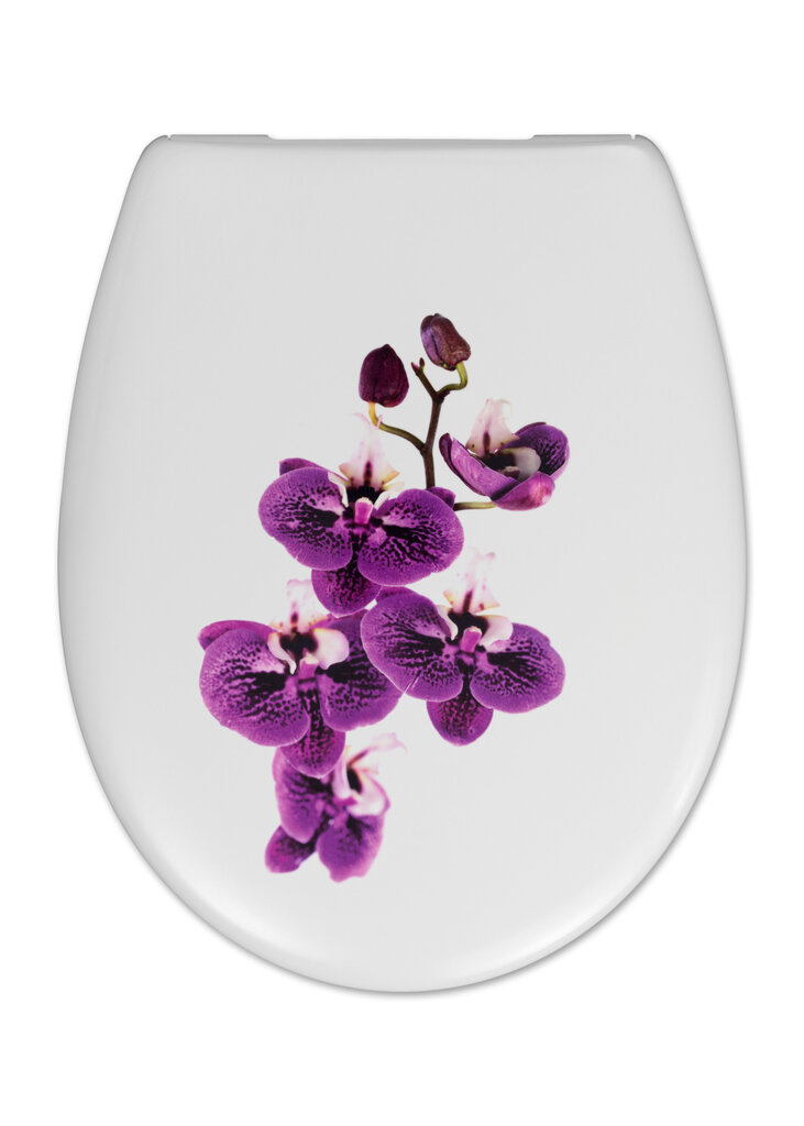 Aeglaselt sulguv WC-poti kaas Cedo Carolina Beach Orchid SC Eco hind ja info | WC-poti lisatarvikud | hansapost.ee