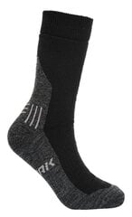 Носки мужские Icepeak 39-42 цена и информация | Мужские носки | hansapost.ee