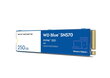 SSD|WESTERN DIGITAL|Blue SN570|250GB|M.2|PCIE|NVMe|TLC|Write speed 1200 MBytes/sec|Read speed 3200 MBytes/sec|WDS250G3B0C hind ja info | Sisemised kõvakettad | hansapost.ee